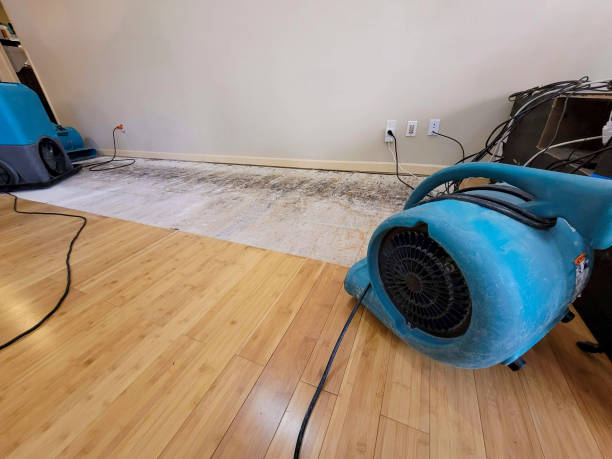 Professional Ceiling Water Damage Repair technician working in Melvin Village, NH